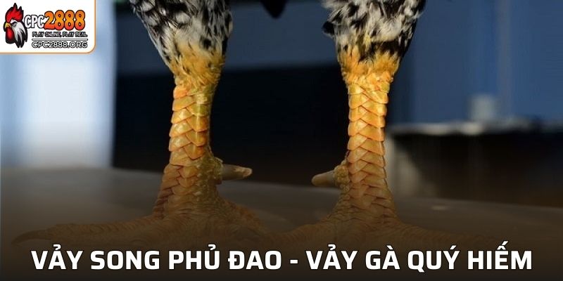 Vảy Song Phủ Đao